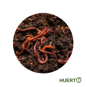 Núcleo de Lombrices Rojas Californianas
